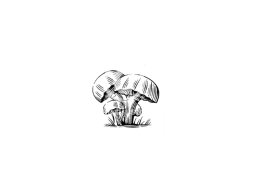 mushroom icon